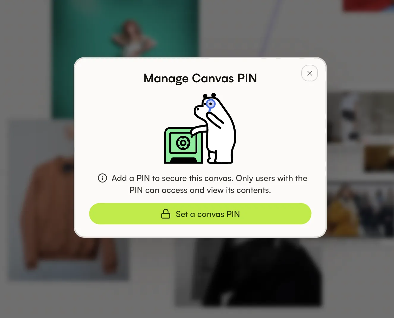 Canvas PIN entry and protection settings